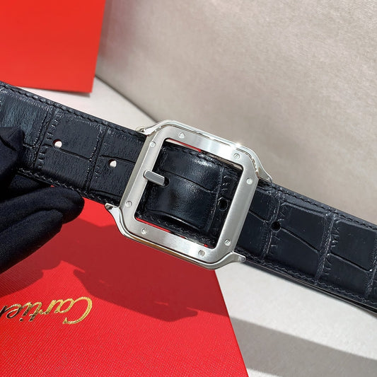 핀 버클 벨트 (pin buckle belt)